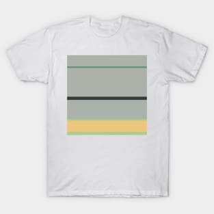 A miraculous amalgam of Greyish, Charcoal, Oxley, Laurel Green and Sand stripes. T-Shirt